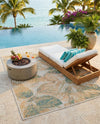 Coastal Terrace Collection Area Rug -  Driftwood Rectangle Ivory  lifestyle 52