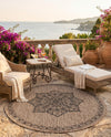Patio Heritage Collection Area Rug -  Charleston (Beige) Round Beige  lifestyle 72