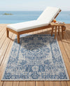 Patio Heritage Collection Area Rug - Savannah (Blue) Rectangle Blue  lifestyle 40