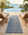 Savannah Pergola Collection Area Rug -  Pergola (Blue) Runner Blue  lifestyle 33