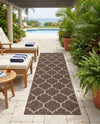 Savannah Pergola Collection Area Rug - Arbor (Brown) Runner Brown  lifestyle 35