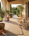 Garden Lattice Charm Collection Area Rug -  Pergola (Beige) Runner Beige  lifestyle 59