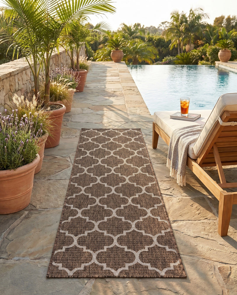 Savannah Pergola Collection Area Rug - Arbor (Brown) Runner Brown  lifestyle 36