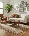 Sahara Sands Collection Area Rug -  Buto Rectangle Brown  lifestyle 22