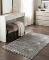 Hollywood Luxe Collection Area Rug -  Rodeo Rectangle Gray Silver  lifestyle 41