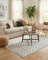 Mediterranean Lattice Collection Area Rug - Santorini (Ivory and Gray) Rectangle Ivory and Gray  lifestyle 18