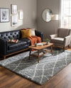Cozy Haven Shag Collection Area Rug - Serenity (Cloud Gray) Rectangle Cloud Gray  lifestyle 10