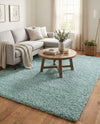Alpine Plush Collection Area Rug -  Cortina (Aqua) Rectangle Aqua  lifestyle 3