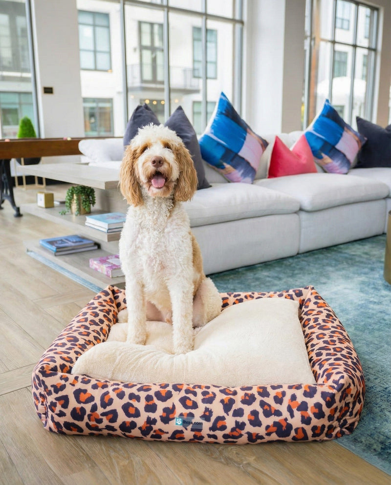 Luxury Pet Lounge Collection Pet Bed -  Retreat Rectangle Multi  lifestyle 4