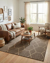 Sahara Sands Collection Area Rug -  Faiyum Rectangle Brown  lifestyle 11
