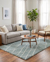 Cozy Haven Shag Collection Area Rug - Serenity (Sage Green) Rectangle Sage Green  lifestyle 22