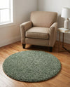 Alpine Plush Collection Area Rug -  Cortina (Sage) Round Sage  lifestyle 41