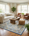 Savannah Series Collection Area Rug - Charleston (Sky blue) Rectangle Sky blue  lifestyle 6