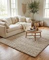 Wellington Luxe Shag Collection Area Rug - Kapiti Rectangle Taupe  lifestyle 17