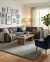 Plush Oasis Collection Area Rug - Serenity (Cloud Gray) Rectangle Cloud Gray  lifestyle 15