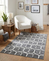 Garden Maze Retreat Collection Area Rug - Hedgegrove Rectangle Grey  lifestyle 34