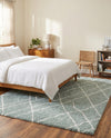 Cozy Haven Shag Collection Area Rug - Serenity (Sage Green) Rectangle Sage Green  lifestyle 8