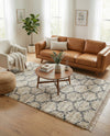 Cozy Cove Shag Collection Area Rug - Marina Rectangle Beige  lifestyle 28