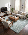 Cozy Haven Shag Collection Area Rug - Serenity (Sage Green) Rectangle Sage Green  lifestyle 10