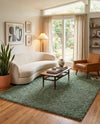 Alpine Plush Collection Area Rug -  Cortina (Sage) Rectangle Sage  lifestyle 12
