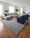 Solid Shag Seaside Collection Area Rug - Azure Cove (Gray) Rectangle Gray  lifestyle 29