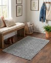 Alpine Plush Collection Area Rug -  Cortina (Sterling) Rectangle Sterling  lifestyle 12