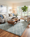 Cozy Haven Shag Collection Area Rug - Serenity (Sage Green) Rectangle Sage Green  lifestyle 20