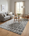 Garden Maze Retreat Collection Area Rug - Hedgegrove Rectangle Grey  lifestyle 15