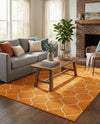 Trellis Mosaic Collection Area Rug -  Pergolatown (Orange) Rectangle Orange  lifestyle 6