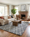 Cozy Haven Shag Collection Area Rug - Serenity (Cloud Gray) Rectangle Cloud Gray  lifestyle 17