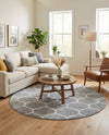 Trellis Mosaic Collection Area Rug -  Pergolatown (Light Gray) Round Light Gray  lifestyle 59